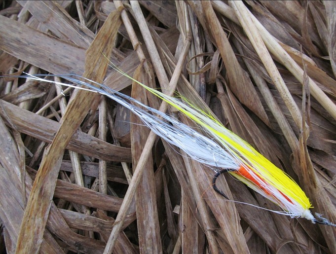 kevätpurolla ---- 7 ----.jpg