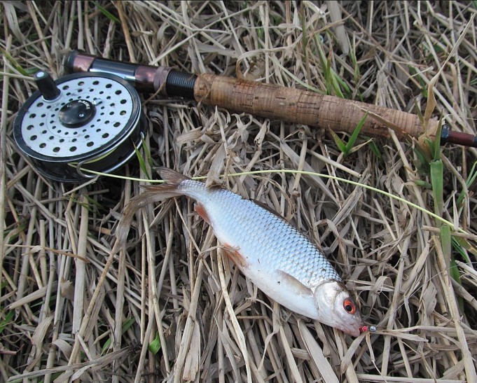 siperia osastoa ---- 3 ----.jpg