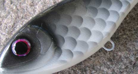 Särki ja hauelta lähti järki