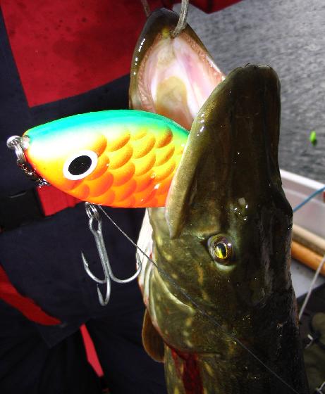 Ruokakala ja ottipeli.jpg