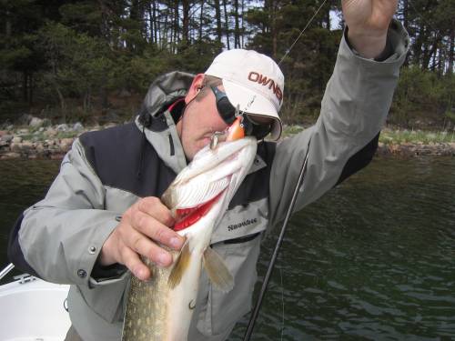 Sakkeus taimenkalassa :-)