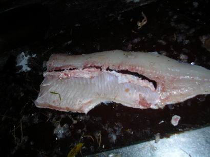 Resize of 2006-10-18 2,26kgn file.JPG