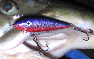 Ensimmäinen tuota runkoa, hajosi eka kalan suussa