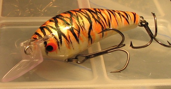 Alkuvuosi 2007 207.jpg