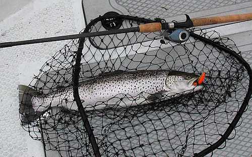 65 senttiä Iniö 2005.jpg