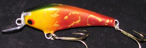 Alkuvuosi 2007 303.jpg