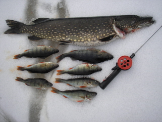 Sunnuntain parhaat.jpg