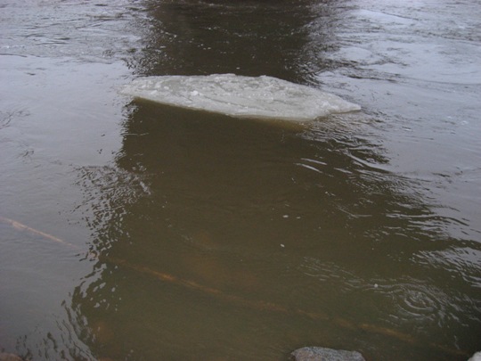 Aikamoista kakkaa tulee alas tällä hetkellä