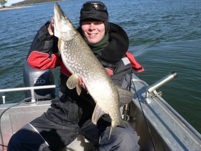 Päivän paras vain 6 kg ja rapiat.