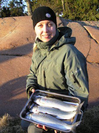 Tinde ja eka siika-trio