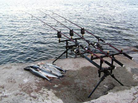 Podi ja muutama kiloa perattua.