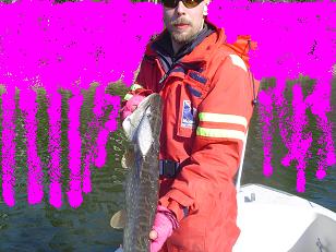 Dartti Futaa- ihme on tapahtunut !