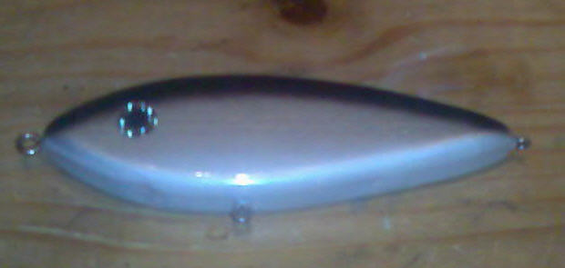 Mustaa, hopeeta ja metallic-valkonen vatsa.