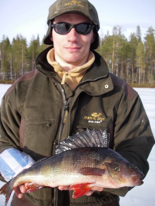 Jallu ja ennätysahven.jpg