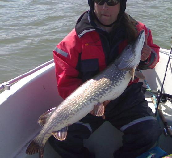 Kybäkaks kieli poskessa.JPG