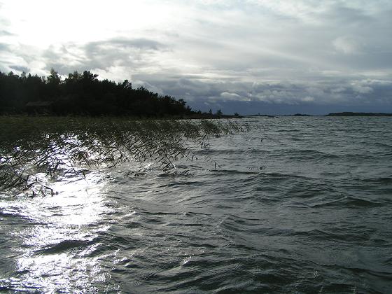Tuulisempi ranta.JPG