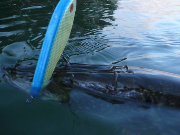 Nyt meni lounas sivusuun..