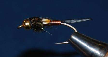 #10, copper jack2.jpg