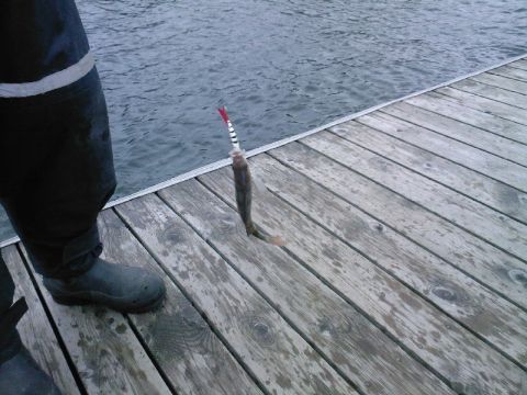 lucky john toimii.jpg