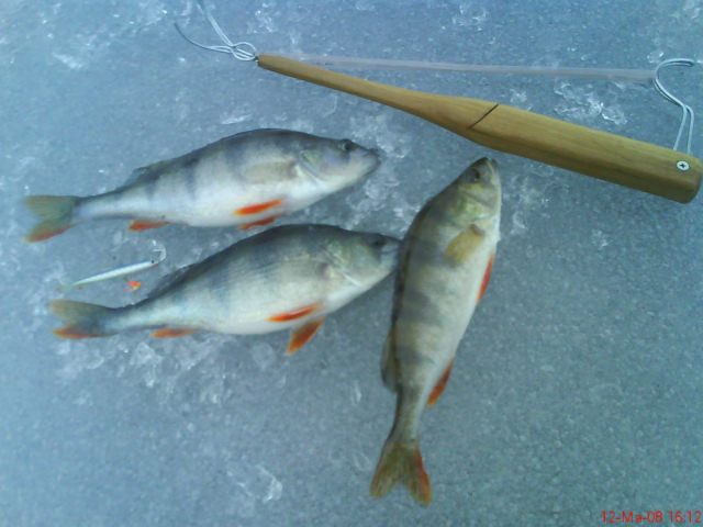 heikoilla jäillä.jpg