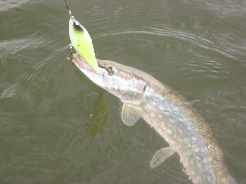 ei mennyt kymppi rikki