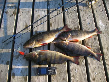 420g, 415g, 330g ja 315 g