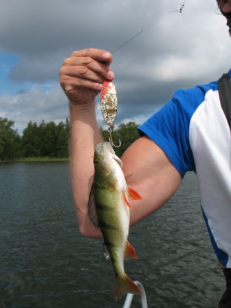 Turku Spoon saalista.JPG