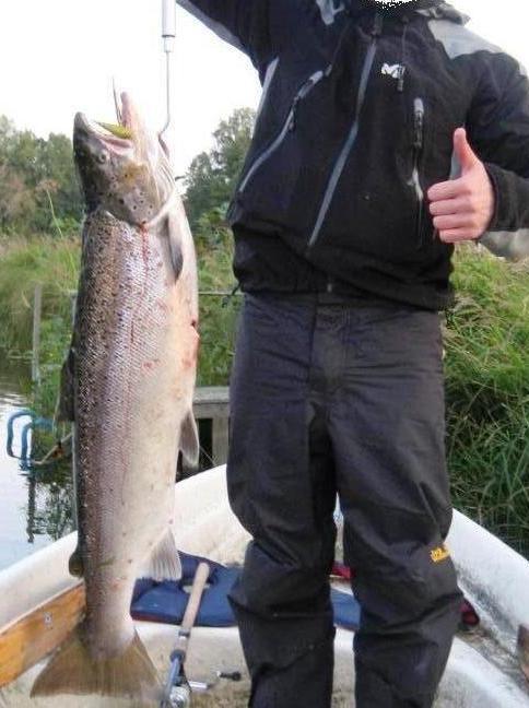 IMG_0948[1] – Kopio.JPG