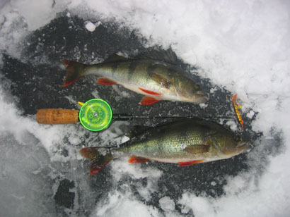 Nättejä vaan ei jättejä