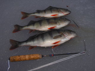 Palstalaisten tekosia.jpg