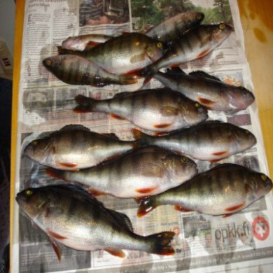 kuva 12 008 [] [] [].jpg