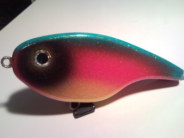 westin sörlas hile papukaija (alkuperänen pumu)