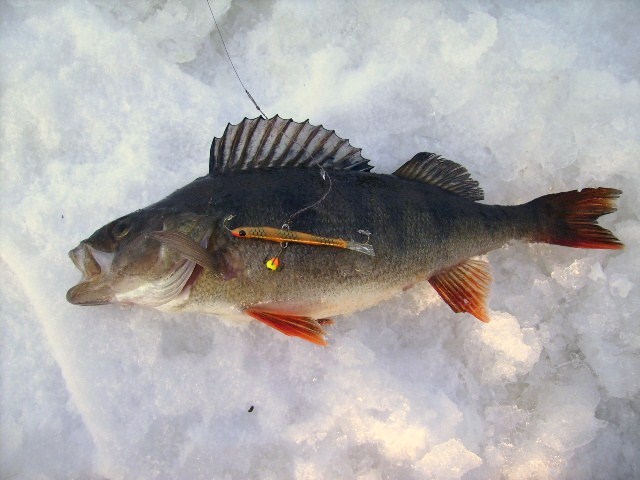 65mm &amp;quot;Jalmari&amp;quot;