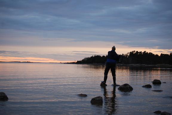 Jammu jaksaa vikoille valoille