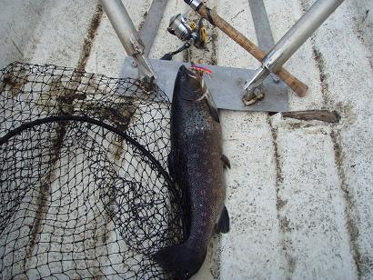 Taneli ja ottikone.JPG