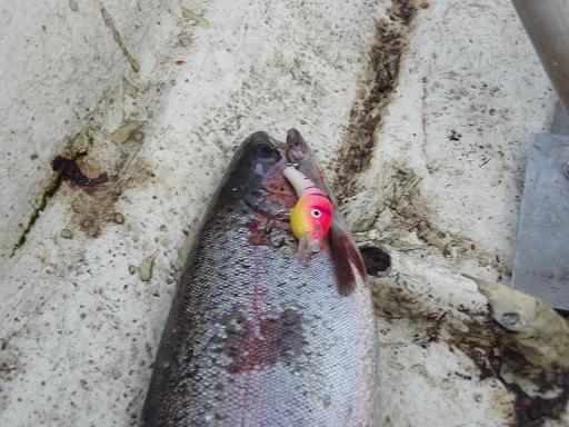 kirre ja ottikone.JPG