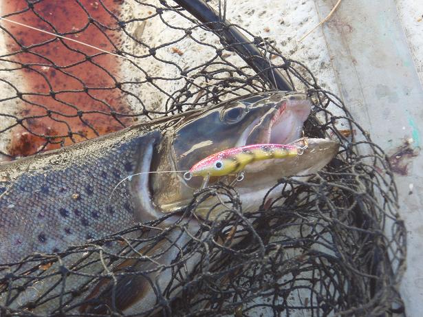 kolmas läheltä.JPG