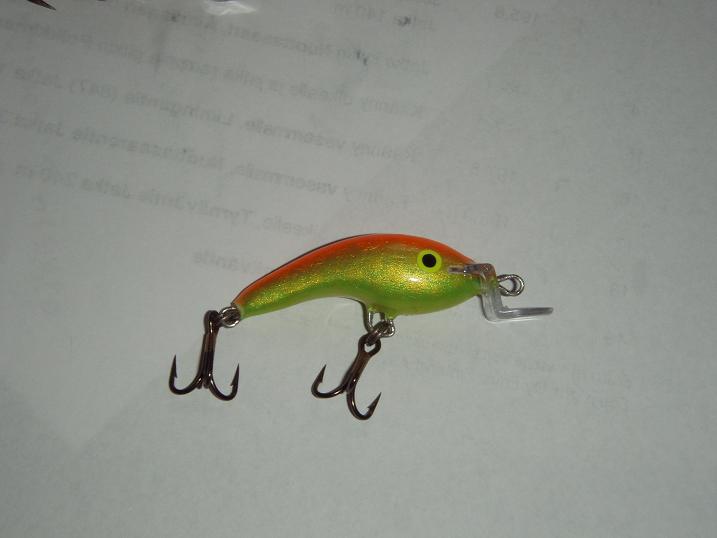 Hitaasti uppoavat4.JPG