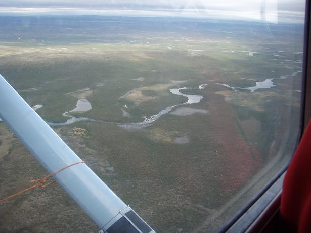 Siellä se SUUR harjusten pesä on jossain.JPG