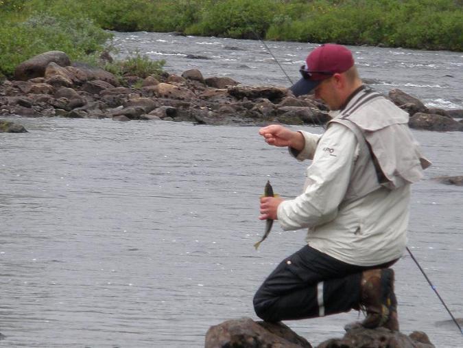 Pikku harri pääsee kotiin.JPG