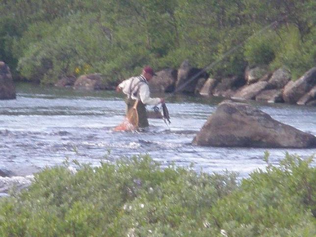 Kosken ylitys kera kalojen.JPG