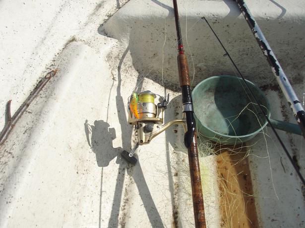 Ottikone ja saalis.JPG