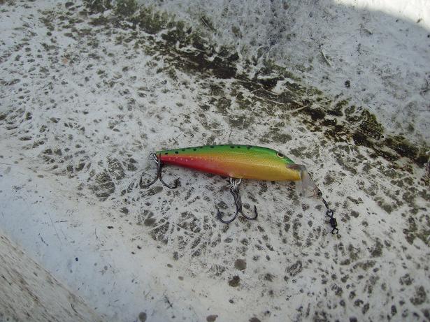 Toi tuli samaan kauppaan.JPG