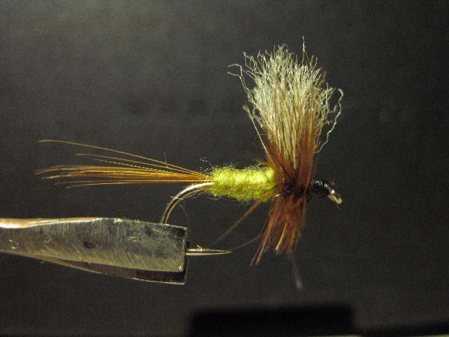 vesipörhö pienempi.jpg