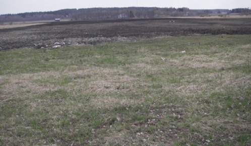 IMGP7188pellon reuna.JPG