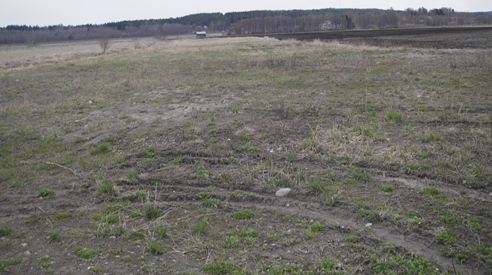 IMGP7192kyntöpellon reuna.JPG