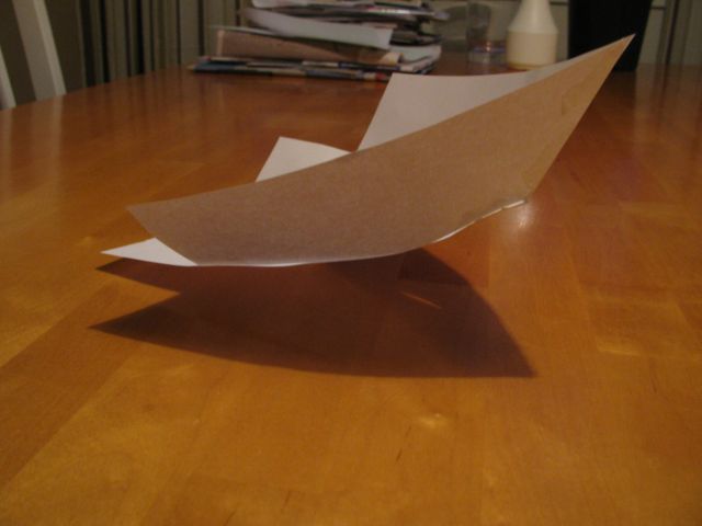 vene papruproto3.jpg