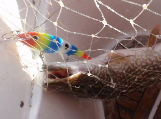 Muokattu jouluväri.