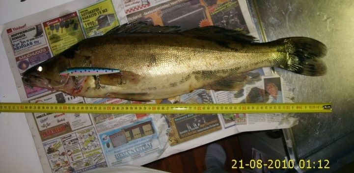 Kuha3.3kg ja ottipeli.jpg