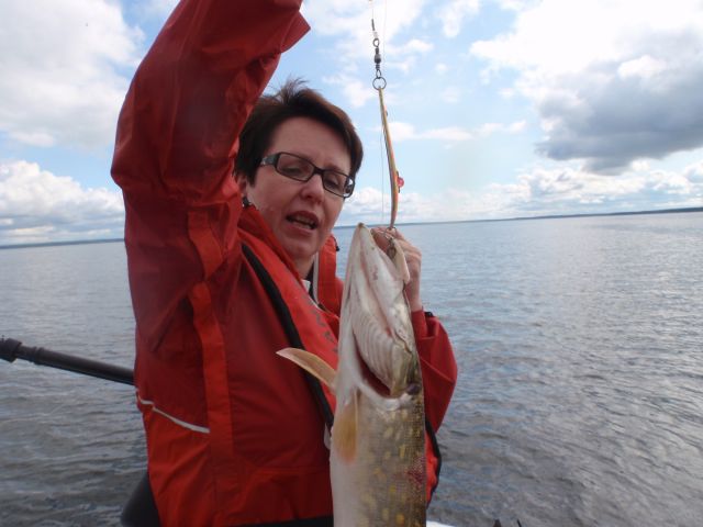 Takilan kuulassa vedetty jojo ja Jakkipelti olivat tämän päivän ehdoton ykkönen. Huom. vetäen oikein.